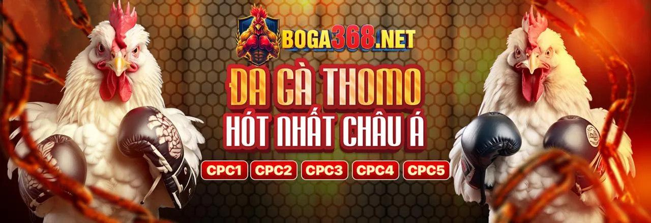 58win Đá Gà Trực Tuyến Hấp Dẫn Nhất